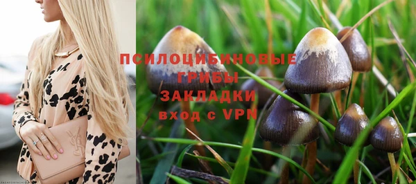 герыч Новозыбков