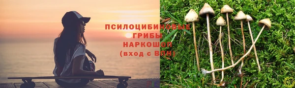 герыч Новозыбков