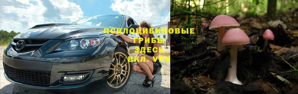 герыч Новозыбков